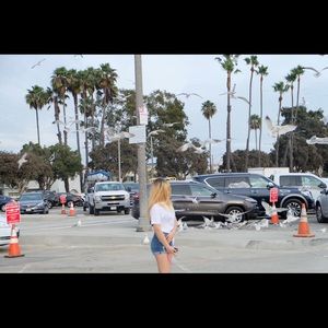 Meet your Posher, Bee